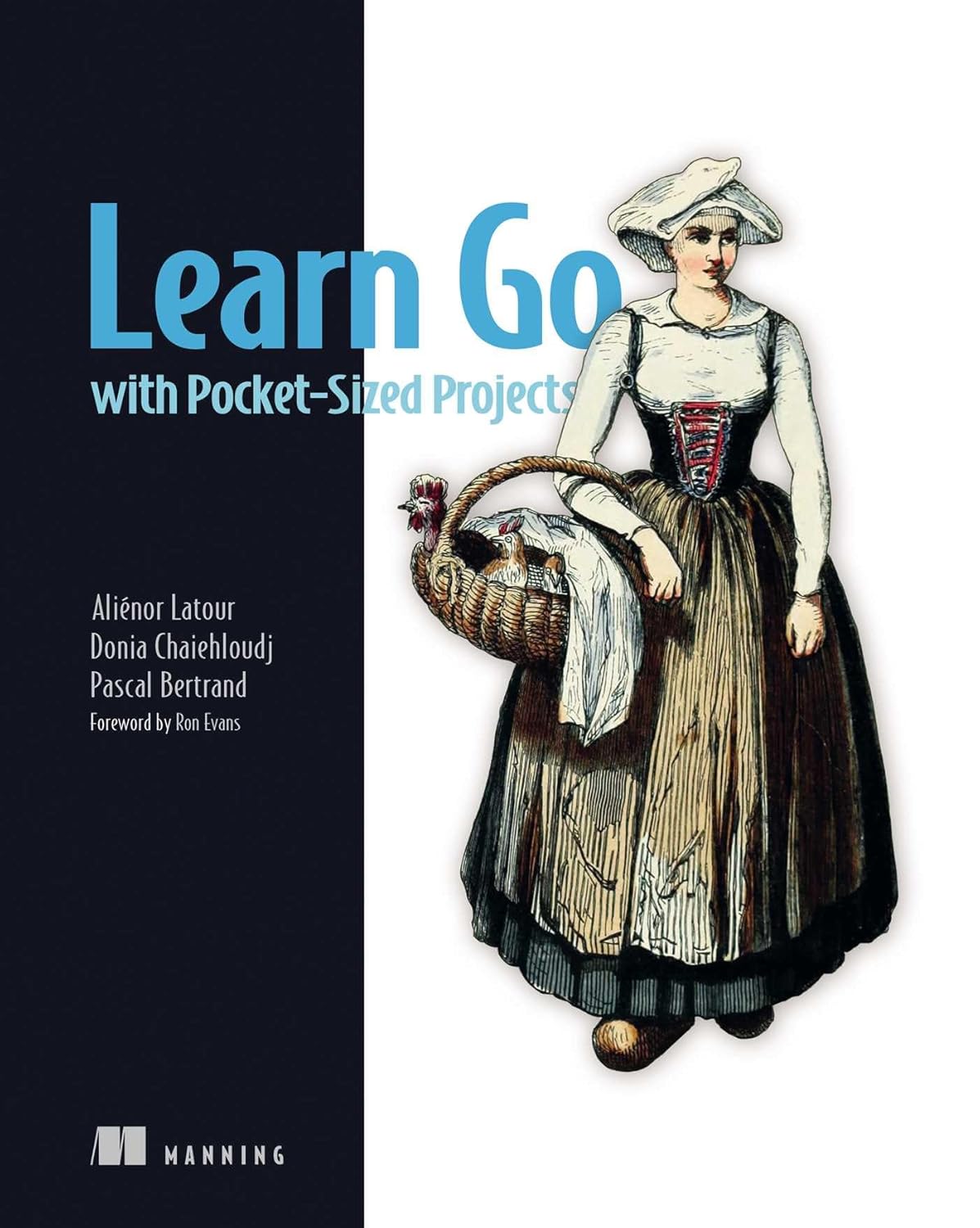 Learn Go with Pocket-Sized Projects Book Cover
